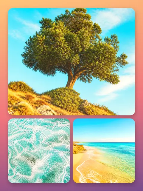 3 photo nature collage, on a warm sunset gradient, sized for a print
