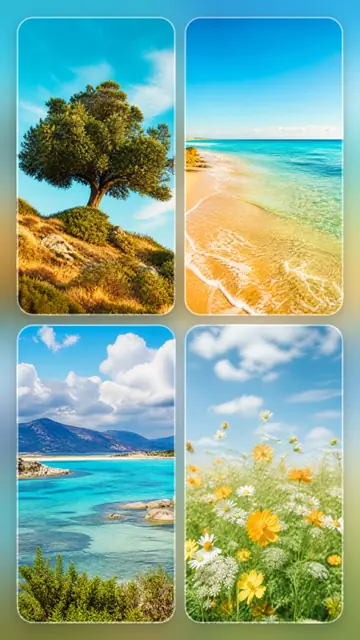 4 photo nature collage, over a blurred version of its own photos, sized for a story