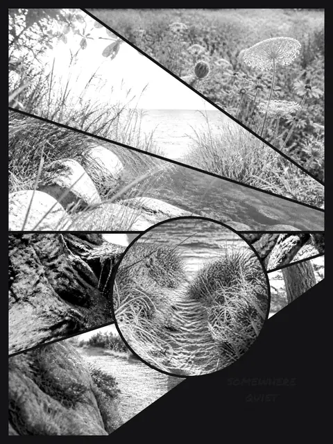 6 photo nature collage, in black and white on a dark ground, sized for a print