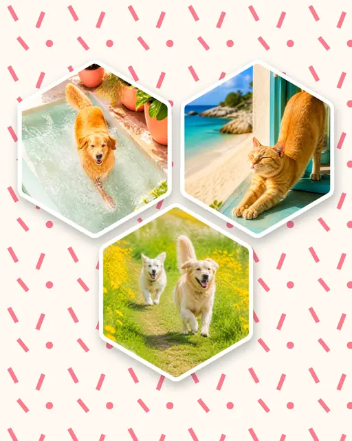 3 photo pet collage, on a confetti patterned background