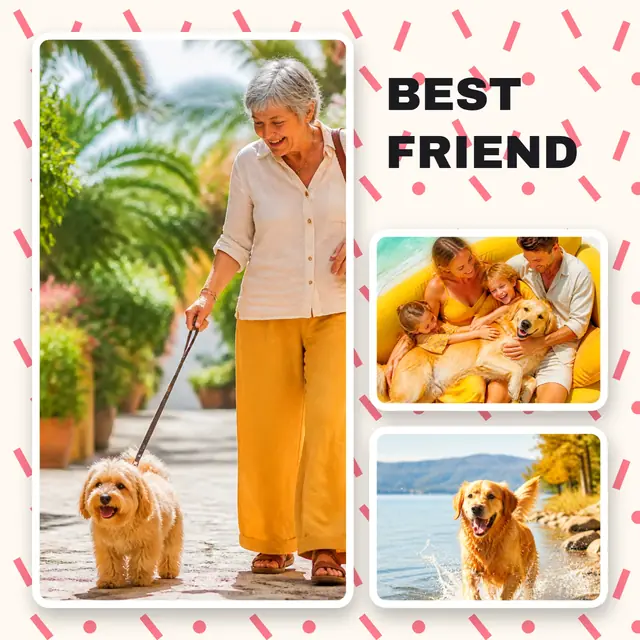 3 photo pet collage, on a confetti patterned background