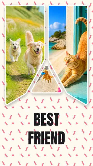 3 photo pet collage, on a confetti patterned background, sized for a story