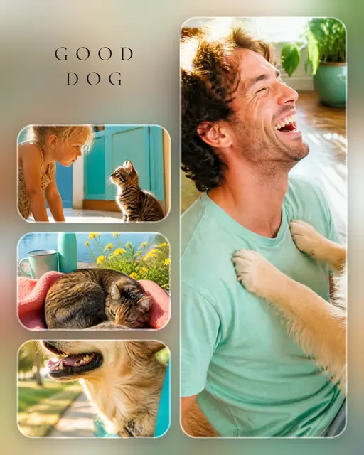 4 photo pet collage, over a blurred version of its own photos