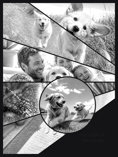 6 photo pet collage, in black and white on a dark ground, sized for a print