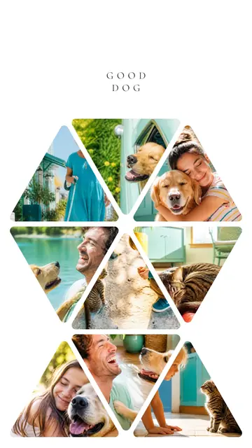 9 photo pet collage, on plain white, sized for a story